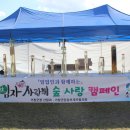 산양산삼 이미지