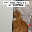 야야