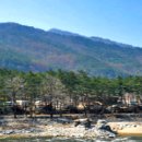 솔방울캠핑장 이미지