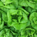 담수농장 이미지