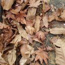 화서공원 이미지