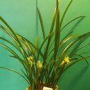 부곡시장길 이미지