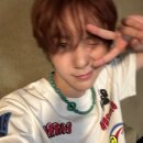 예쁠수밖개 | 불면의 밤 (aka. 노숙의 밤) 그리고 소품샵 투어 - 전주 국제 영화제 후기 3일차