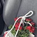 우주별화원 | 공주시꽃집 공주 꽃 선물은 우주별화원에서!