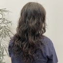 아르브헤어 arvv 이미지