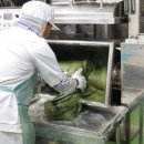 아리랑전자 | 정선아리랑시장 밥알수리취찹쌀떡 가게 택배 온라인 주문(6시내고향)