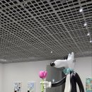 Stay Mellow 이미지