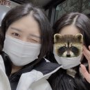 윙크장 이미지