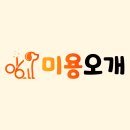 놀러오개 미용센터 | 🐾 [용인시 처인구] 강아지 미용 후기 미용오개 방문기