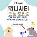 워니시티 이미지