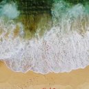 기억할개 이미지