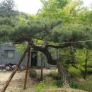 금수산 농원 이미지