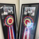 더독그루머스 이미지