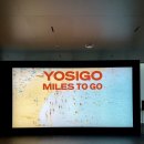 온그라운드짐 | 요시고 사진전2 할인 예매, 그라운드시소 센트럴 전시회 일정