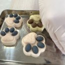 혜송유치원 | [공지] 펫 아로마테라피 자격증 수업 모집, 반려동물 아로마 전문 강사가 직접 알려주는 2026년 클래스...