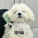 명동칼국수 이미지