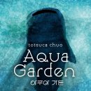 아쿠아게임즈 이미지