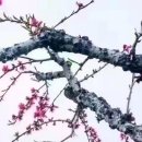 지에스25상대원