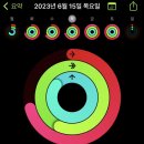 머슬팩토리24익스트림