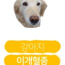24시 코끼리동물병원 이미지