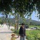 흥와대 | [흥와대] 상주 기와집 감성, 애견동반가능한 신상 카페