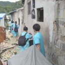 중앙애견 이미지