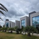 에다모니아 이미지