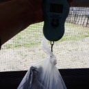 오골계식당 이미지