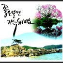 명품드림 이미지