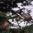 용추산장