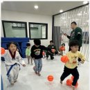 경희대 아이사랑 태권도장 이미지