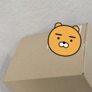 둥굴레 | 국내산 둥굴레차 찾다가 선택한 자연애보감 후기🍵