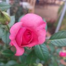 (주)대디팜 이미지