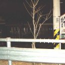 회두민박 이미지