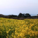 홍 순호 - 코지하우스와 협자연대(봉수대) - 제주 섭지코지 이미지