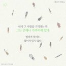 바오아이 이미지