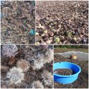 선호농장 이미지