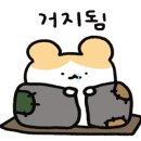 시로(shiro) 이미지