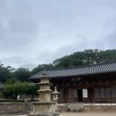 🌲차분히 걷기 좋은 통도사, 힐링 후기