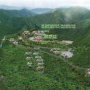 숲속의 계곡 이미지