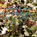 오늘밤에 이미지