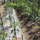 대원농장2 이미지