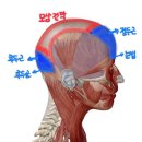은에스테틱 네이버블로그