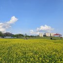 기흥호수공원 이미지