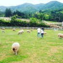 지정농장 이미지