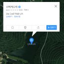 신지지 이미지