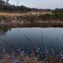 냉이꽃 민박 이미지