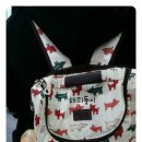 도로시 퍼피 이미지