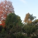 남한강변길 이미지