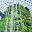 전못 | [여자 혼자 싱가포르 여행] 3일차 가든스바이더베이와 플라워돔 클라우드돔 티켓정보 및 사진스팟 후기